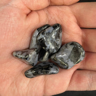 Mystic Merlinite 1/2” - 1”+ Tumbled - Coco and lulu boutique