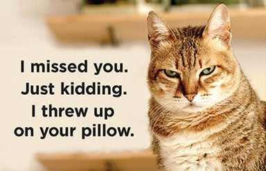Magnet-I missed you. Just kidding. I threw up on your pillow - Coco and lulu boutique