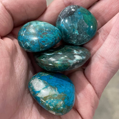 Quantum Quattro Chrysocolla Tumble Stone - Coco and lulu boutique