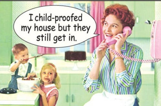 Magnet-I child-proofed my house but they still get in. - Coco and lulu boutique