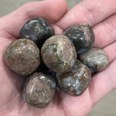 Que Sera Tumbled 1 Lb - Coco and lulu boutique