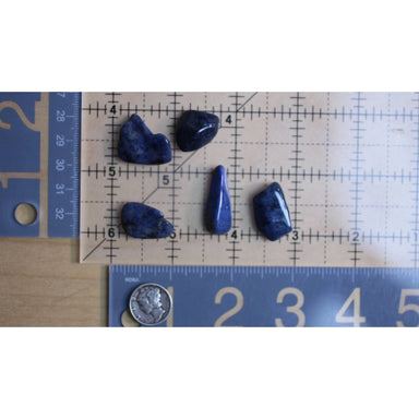 Dumortierite Natural Stone Tumbled 1 Lb - Coco and lulu boutique