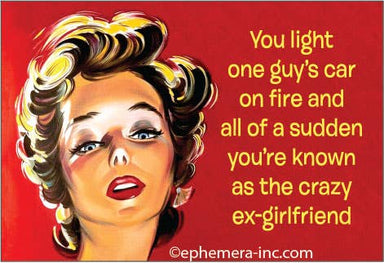 Magnet-You light one guy's car on fire… - Coco and lulu boutique