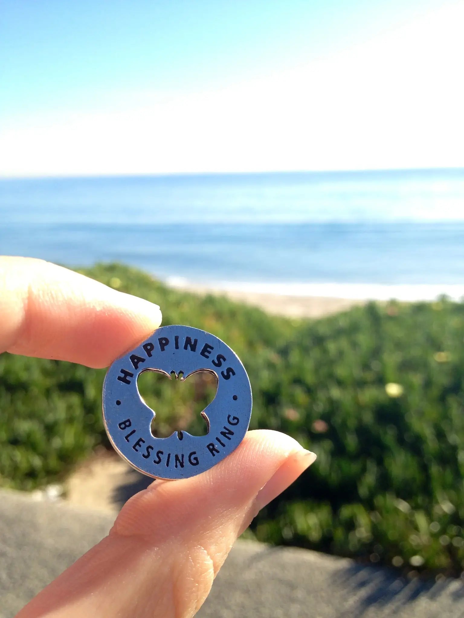 Blessing Rings Necklace - The perfect gift - Coco and lulu boutique