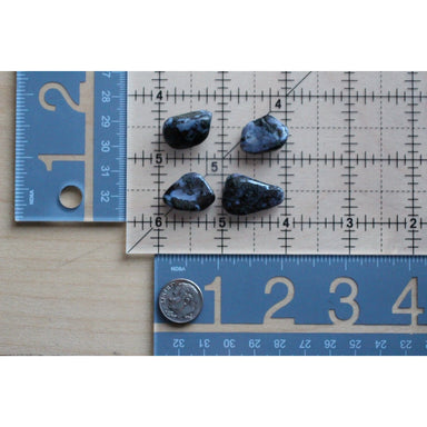 Mystic Merlinite 1/2” - 1”+ Tumbled - Coco and lulu boutique