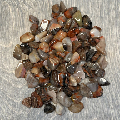Petrified Wood 1/2” plus Tumbled 1 Lb - Coco and lulu boutique