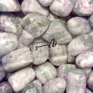 Peace Jade Medium Tumbled 1 LB - Coco and lulu boutique