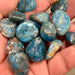 Blue Apatite 1” Tumbled 1 LB - Coco and lulu boutique 