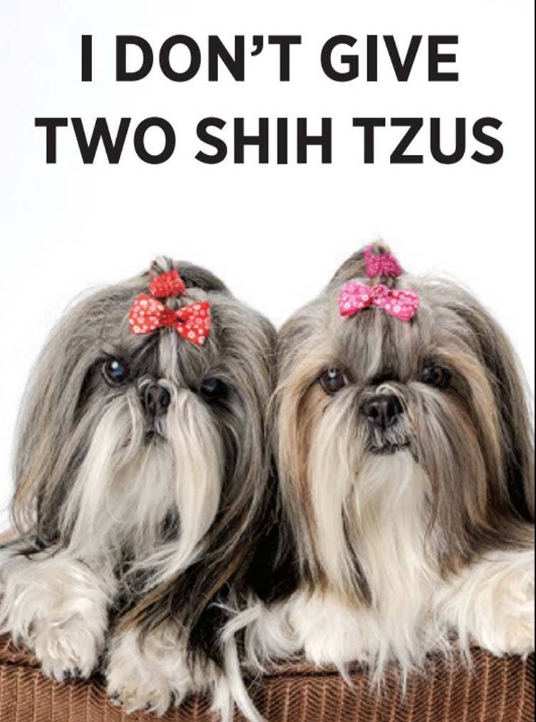 Magnet-I don't give two Shih tzus - Coco and lulu boutique 