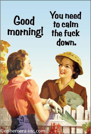 Magnet-Good morning! You need to calm the fuck down. - Coco and lulu boutique 